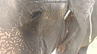 Blowjob as a punishment