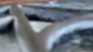 Instagram Viral Video