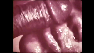 Disgusting Perverted Whore