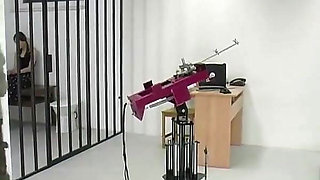 Pandora1 Spanking Machine - Bare Back Whipping