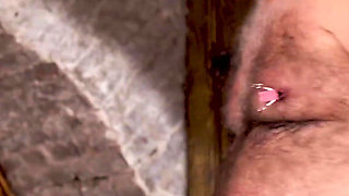Another brick on poor cock 1