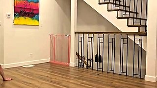 Honeypotproductions - Loser Humiliation