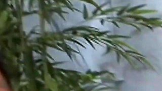 Milf brunette with pierced fake tits gets a wet facial