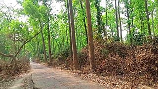 Mountain God Did Mangal in the Jungle