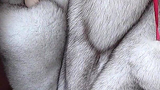 Outdoor Fur Teasing, Fur Coat, Fur Gloves, Fur Hat. Perfect Fur Fetish Sex!