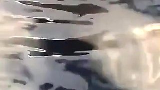 Nake Swimming and Fucking in the Pool