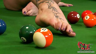 Flexible fox cues up for pool