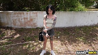 If The Bus Is A Rocking