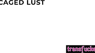 Queenie Sateen dominated steamy shemale