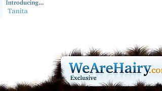 Hairy wanton exciting adult story