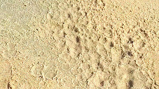 Beach Pee Desperation