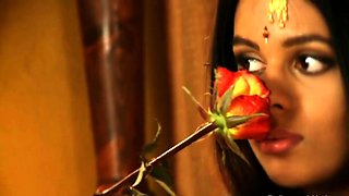 Bolly Babe Sensual Journey
