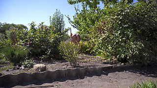 Watching Hot Neighbor Working in Garden