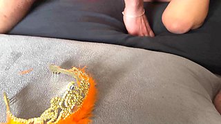 DP Gangbang Queens Day Hollanda
