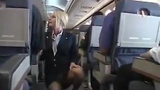 American stewardes fantasy