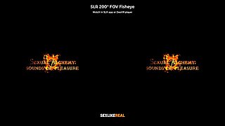 Sexual Alchemy: Sounds of Pleasure - SLROriginals