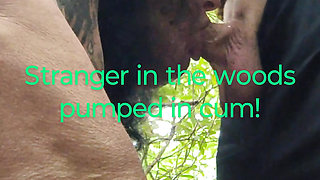 Bended This Stranger Over in the Woods Tree Covered