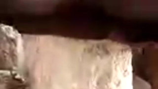 Old Lady Hadzabe Tribe Has a Big Pussy with Long Rabia