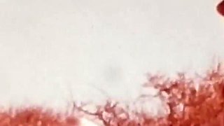Vintage porn retro erotic theatre - dessert fruit