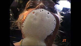 Ggg - Cumshot Madness Begins