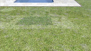The Neighbour Woman Would Make A Problem?