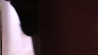 Little Lovet batthroom fucks her boss with panties on.mp4