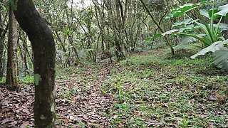 Stepsist Goes to Fuck in the Forest and Receives Cum on Her Tits
