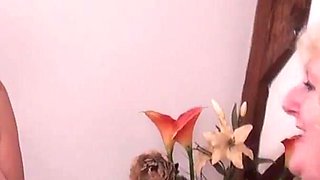 Three naughty kittens