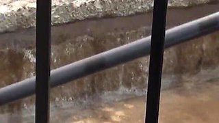 Pissing on the stairs