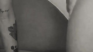Vibe Our Pussy's Trailer