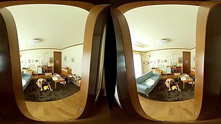Naughty slut exciting porn story