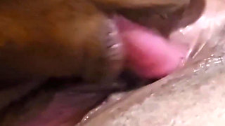 Hubby Licking My Clit Giving My Amazing Screaming Orgasms