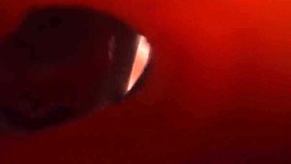 Horny bimbo adult mind-boggling video