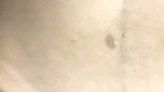 First Time Stepsister in Home with Her Stepbrother, Indian Desi Sex, Hardcore Doggy Style