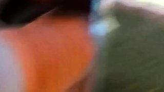 Hungarian Amateur with Big Natural Tits Gets Fucked Outdoors