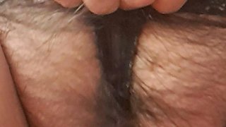 Transparent and Hairy Panties