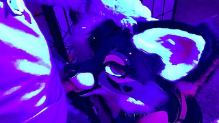 Webcam Amateur Blowjob Webcam Free Girlfriend Porn Video