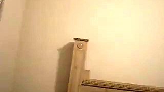 Plump bbw: Blowjob, Doggy  Cowgirl Porn