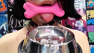 Cute curly brunette solo webcam masturbation