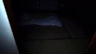 Shy and cute japanese teen gives a perfect handjob