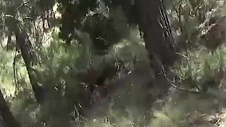 Another Clip Where You See Me in a White Dress After a Photo Shoot Walking Down a Steep Path with My Tits Out on Display.