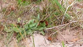 Encounter with a Stranger at a Waterfall Ends in Sex.