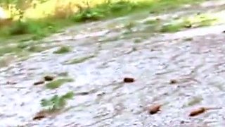 Thick German Amateurs Threesome Outdoor Adventure