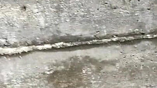 Quicky with My Crush