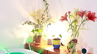 Humping, Dominating and Pee an Inflatable Crocodrile