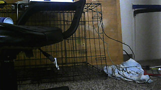 Way excited New Toy!!