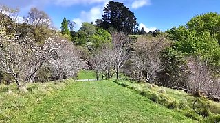 Public Flashing With Lovense Lush