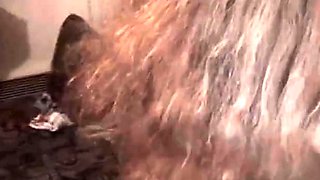 Russian student orgy