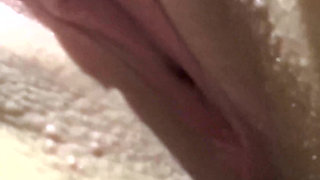 Do You Like My New Bush?