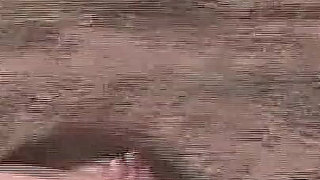 Cuckold on Vacation